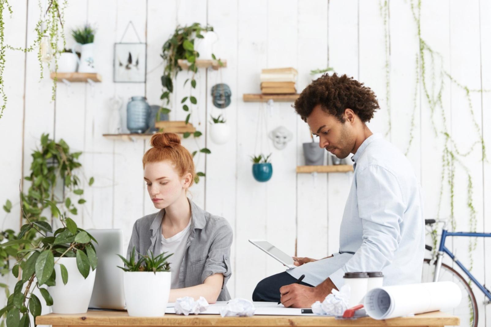 Content evaluation and optimization planning