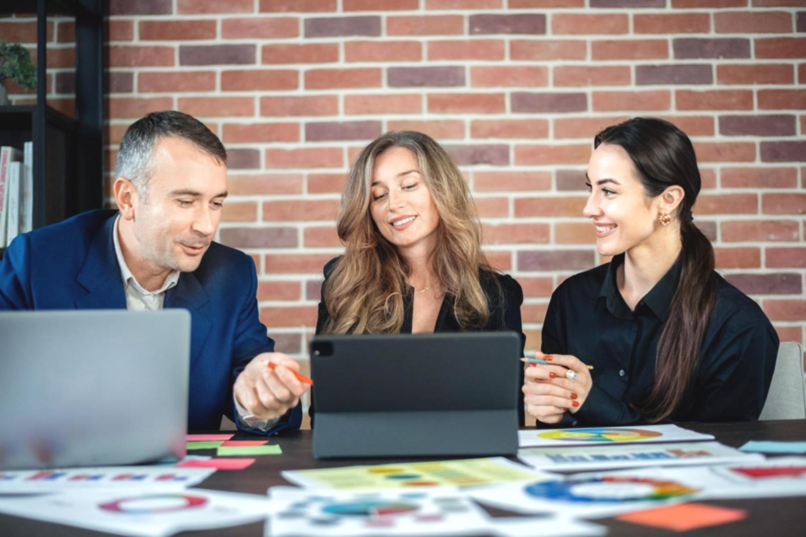 Website analysis and technical review process